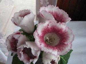 White Spider (S.Saliba)