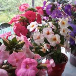 20160605_094734