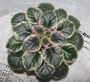 Handmade (2)