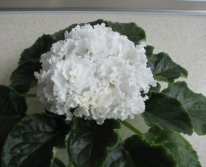 Svadebnyy Buket (2)