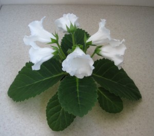 MultiBells White