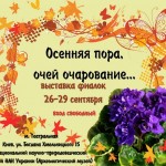 выставка фиалок