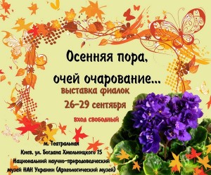 выставка фиалок