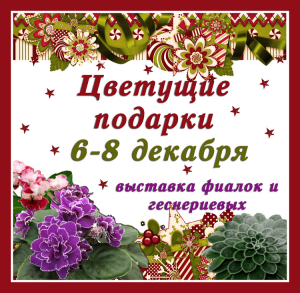 афиша