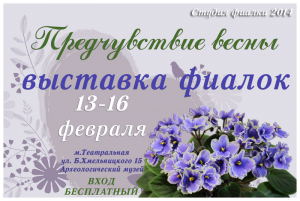 выставка фиалок