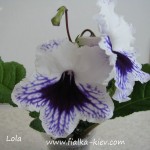 Lola