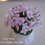 Pixie Pink (4)