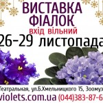 violet2014november