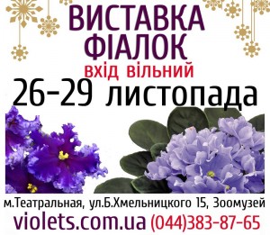 violet2014november