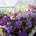20160605_094742