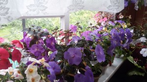 20160605_094742