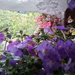 20160605_094750