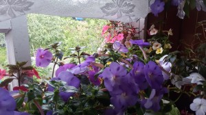 20160605_094750