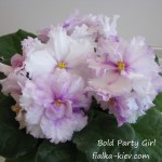 Bold Party Girl (3)