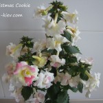 christmas-cookie-2