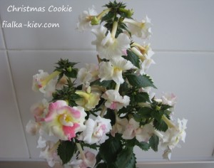 christmas-cookie-2