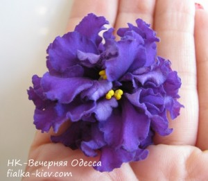 nk-vechernyaya-odessa