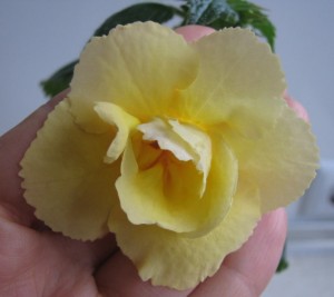 achimenantha-ruth-farrow