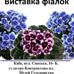 15326599_646725025498650_4496182447928295382_n