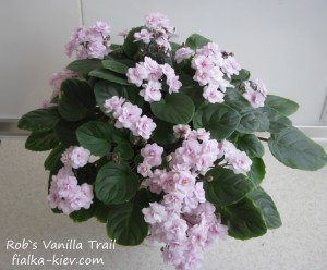 Rob`s Vanilla Trail