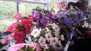 20160605_094802