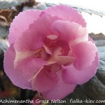 Achimenantha Grace Nelson