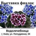 21106719_785463968291421_7288429116785465150_n