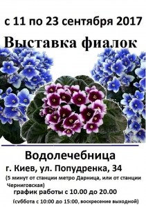 21106719_785463968291421_7288429116785465150_n