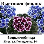 21106719_785463968291421_7288429116785465150_n