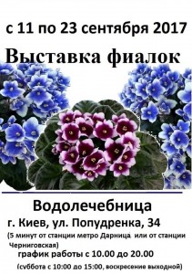 21106719_785463968291421_7288429116785465150_n