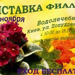 НОЯБРЬ