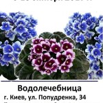 ноябрь 2017