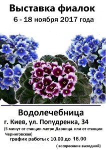ноябрь 2017