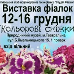 vistavka december 2018m