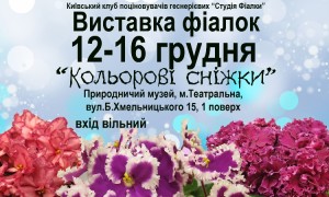 vistavka december 2018m