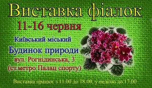 61826074_1178613598976454_4771327895530373120_n