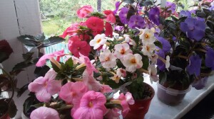 20160605_094734